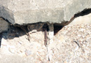 Effects of corrosion on unprotected steel reinforcement