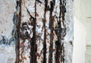 Effects of corrosion on unprotected steel reinforcement